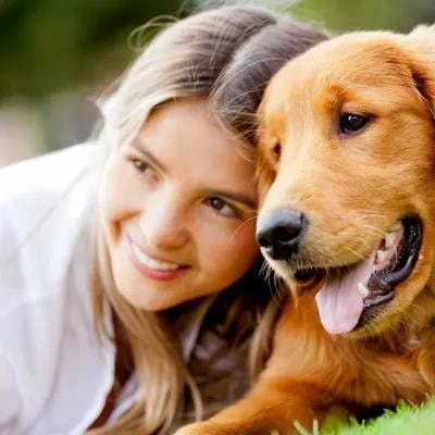 People Healing and Pets Too 4-Part Series
